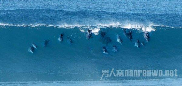 探讨问题,尽在顿涅茨克和卢甘斯克有哪些相似之处?蜗牛问答平台
